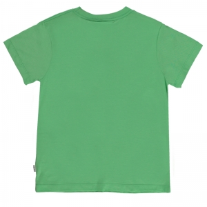 Rame - T-shirt SS 8713 - Crisp gr