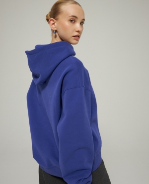 Towelling logo hoodie 201 - Blue purp