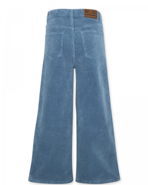 Zina ardo pants 725 - Mid blue