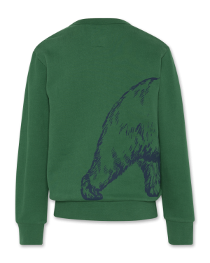 Tom c-neck sweater bear 450 - Green