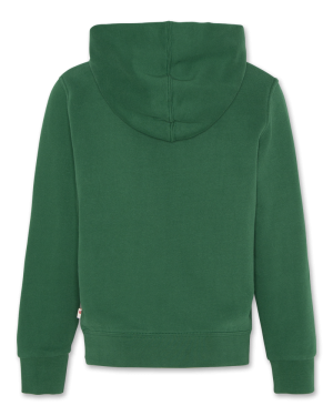 Hunted hoodie olly 450 - Green