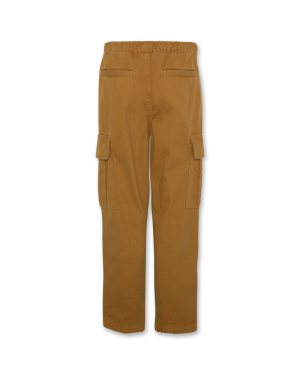 Warner color pants 820 - Sepia