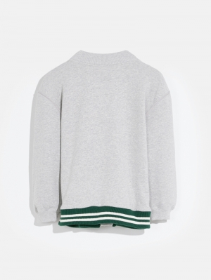 Sweatshirt 008 - H. Grey